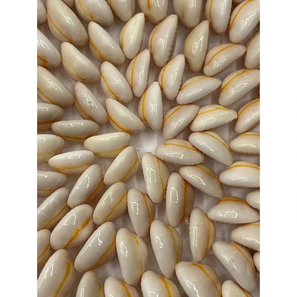 Vintage Cowrie Shell Trivet Circular Coastal Wall Decor Boho Nautical 6 Inch‎
